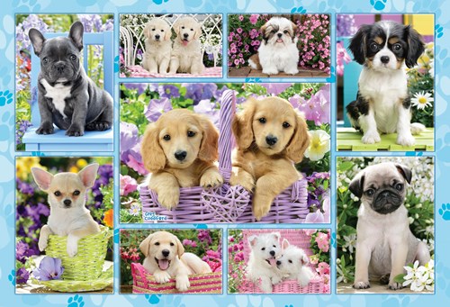 Schmidt puzzle Chiots - 200 pièces - Jeu pour enfants - 8+ ans