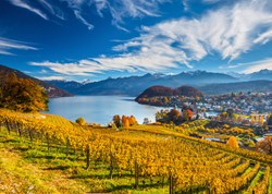 Schmidt puzzle vignoble 2000 pièces - puzzle paysage