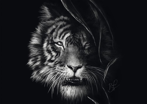 Schmidt Spiele Wilderness - Tiger: Im Zeichen der Freiheit - 1000 Teile