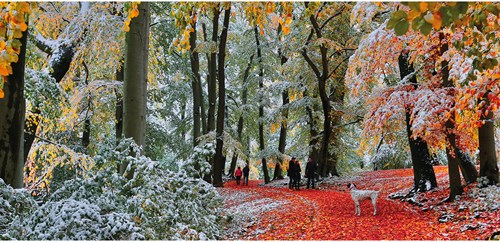 Gibsons Schnee Im Herbst - 636 Teile