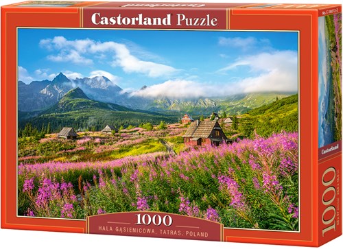 Castorland puzzle Tatras, Pologne - 1000 pièces - Puzzle nature-2