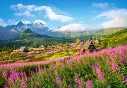 Castorland puzzle Tatras, Pologne - 1000 pièces - Puzzle nature