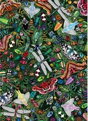 Gibsons puzzle Winged Wonders - 1000 pièces thème nature coloré