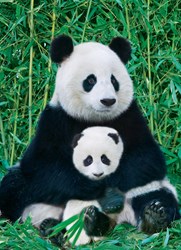 Eurographics Panda & Baby (1000)
