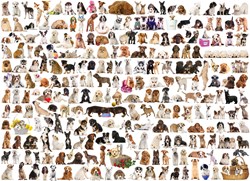 Puzzle Eurographics Le Monde des Chiens - 1000 pièces