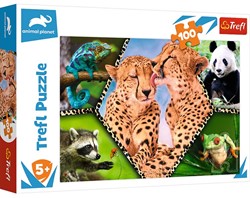 Trefl Trefl 100 - Belle nature / Découverte de la planète animale
