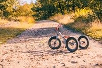 Trybike loopfiets 2 in 1 Steel - grijs