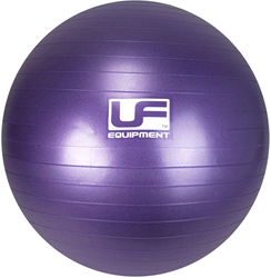 Urban Fitness 500kg Burst Resistance Swiss Gym Ball Purple - 55cm