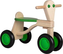 Van Dijk Toys vélo d'équilibre en bois de bouleau à partir de 1 an - Vert (Qualité de la garde d'enfants)