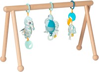 Van Dijk Toys Babygym