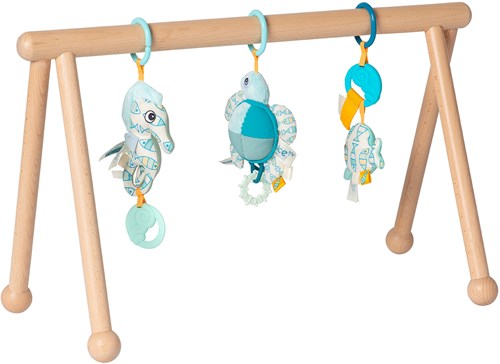 Van Dijk Toys Babygym