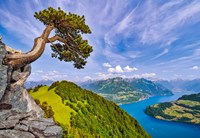 Castorland puzzle Lac d'Uri Suisse - puzzle 1000 pièces