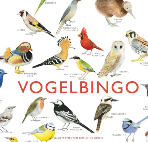Kosmos Jeu de société Bingo des oiseaux avec cartes et instructions