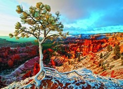 Puzzle Eurographics Lever de soleil d'hiver - 1000 pièces