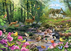 Gibsons puzzle Woodland Glade - puzzle nature 1000 pièces