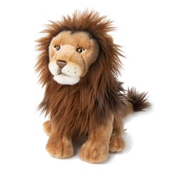 Lions