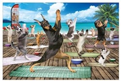 Puzzle Eurographics Yoga Spa - 500 pièces